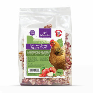 Natures Grub 20g Bag Fruit & Berry Popcorn Treat