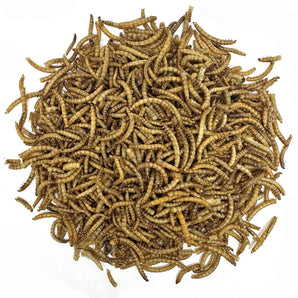 Natures Grub The Bird Warehouse Dried Mealworms